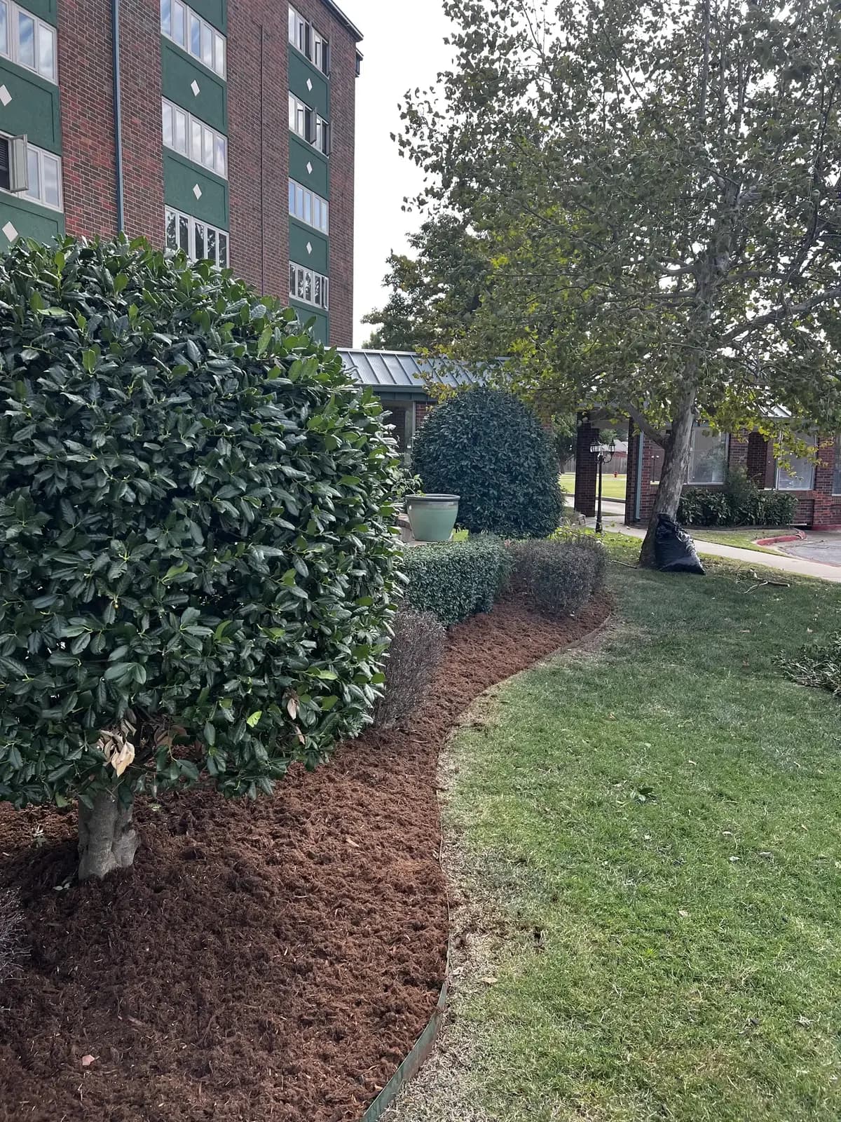 Professionally maintained lawn and landscape beds at a managed multi-unit property