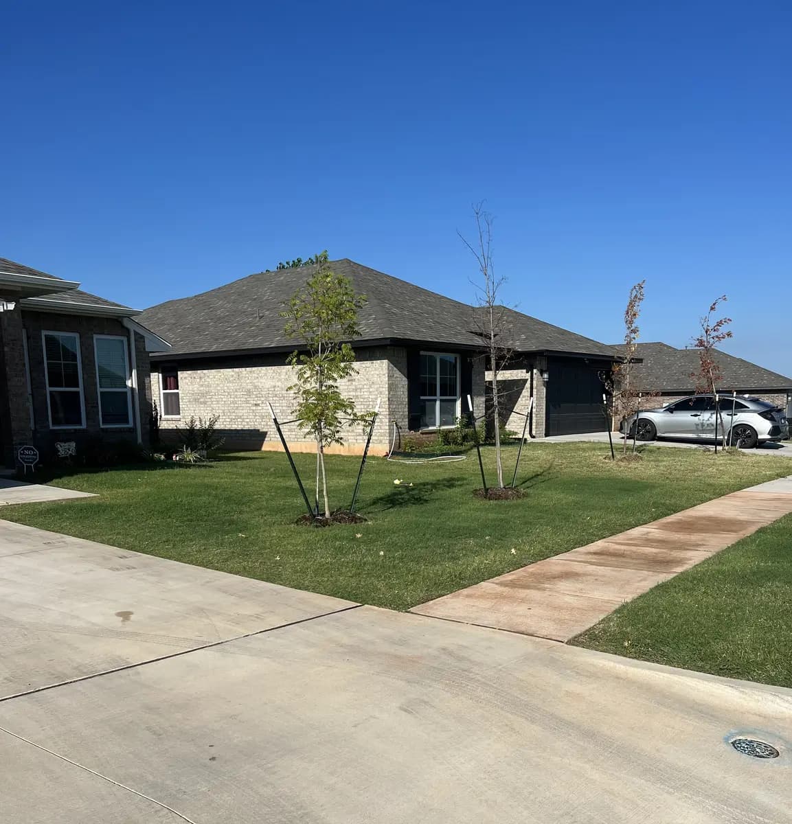 Residential lawn evaluated for grub damage and turf health