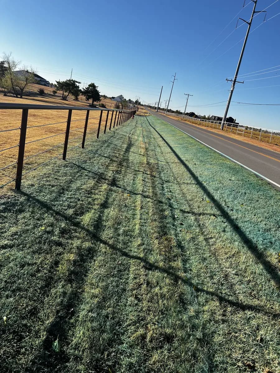 Evenly prepared roadside turf area during a Greenline lawn-establishment project
